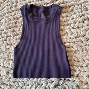 aerie Deep Purple Ribbed Cropped Tank Top